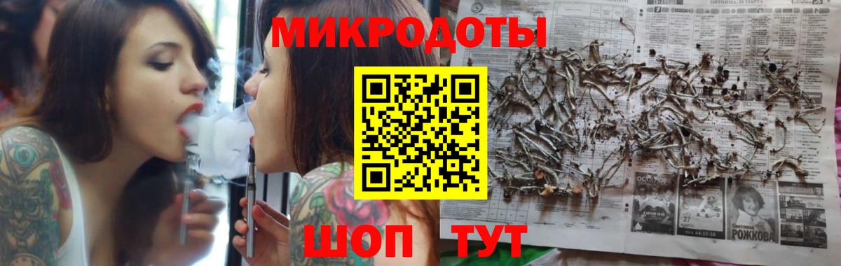 Каменка  купить закладку  Галлюциногенные грибы ЛСД  Вход с VPN  Псилоцибиновые грибы Psilocybe 